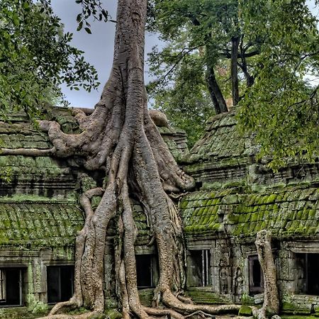 Golden Temple Residence Siem Reap Bagian luar foto Banteay Srei