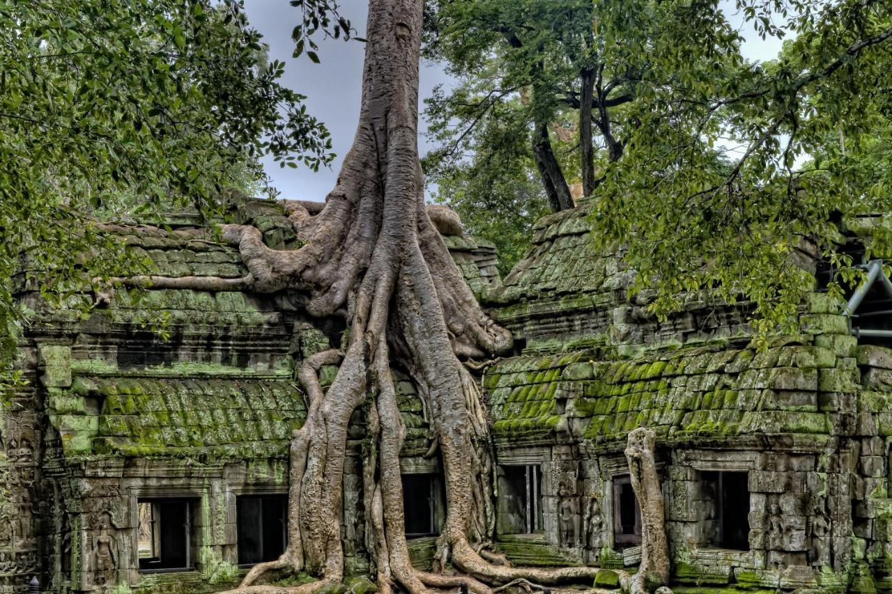 Golden Temple Residence Siem Reap Bagian luar foto Banteay Srei